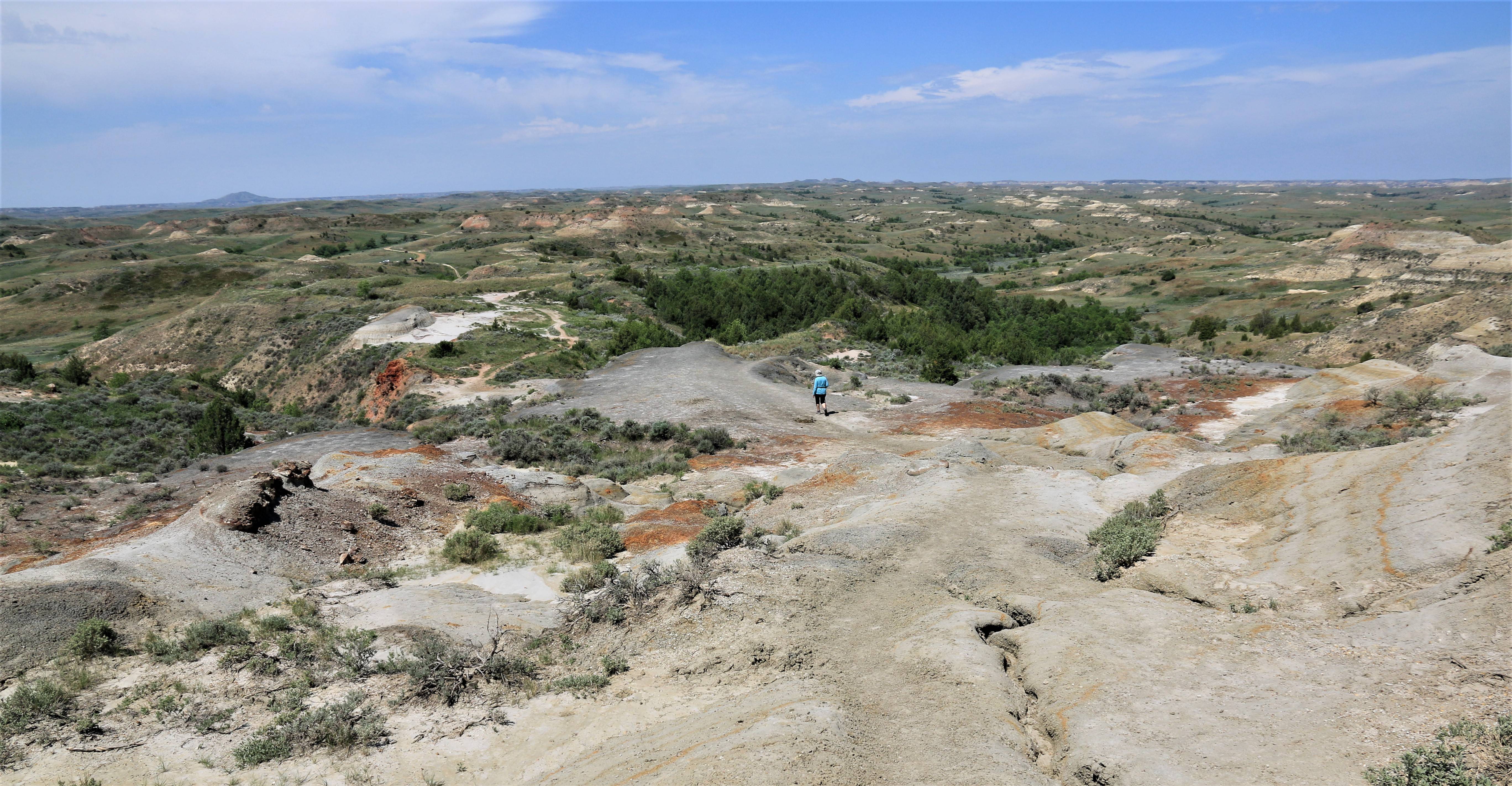 Theodore Roosevelt NP